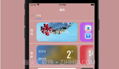 狂人组件v1.13截图