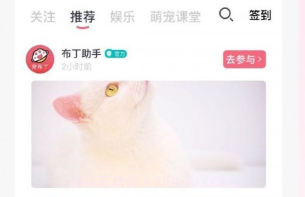 宠布丁v1.0.14截图