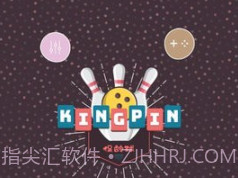 王牌保龄球2.43截图