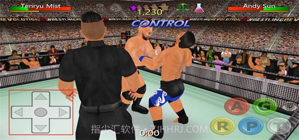摔跤革命3D汉化版v1.10截图