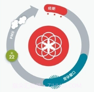 Clue月经周期v61.13截图