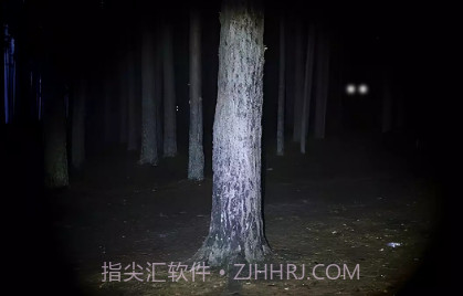 永远不要尖叫v2.0.9截图