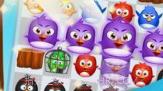 鸟类流行狂热v3.1.13截图