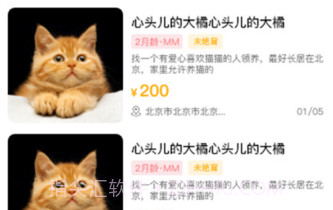 喵鑫球宠物v1.0.13截图