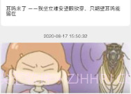 复旦耳鸣rsv1.1.9截图