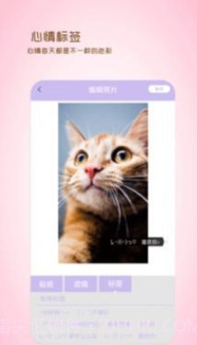 全能美日相机v1.16截图