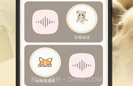 小狗翻译官v1.0.17截图