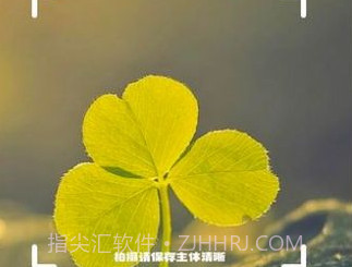 神农百草识别v1.11截图