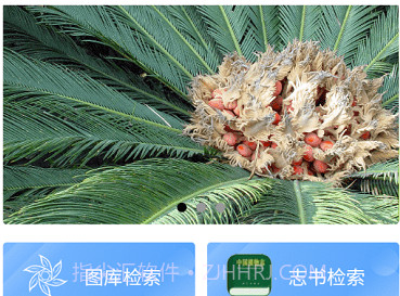 植物智v2.9.12截图