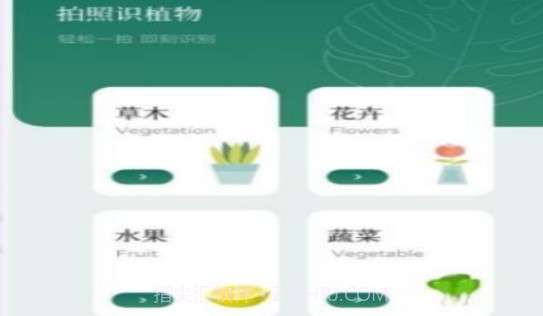 智能识图识物v1.0.13截图