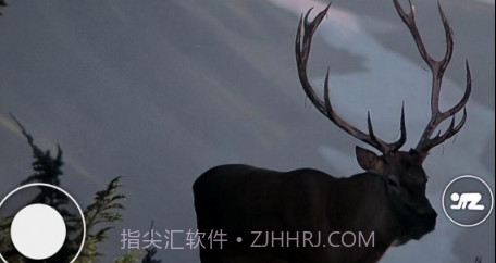 恐怖森林猎人v1.11截图