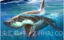 全民钓鱼2链接v2.4.11截图
