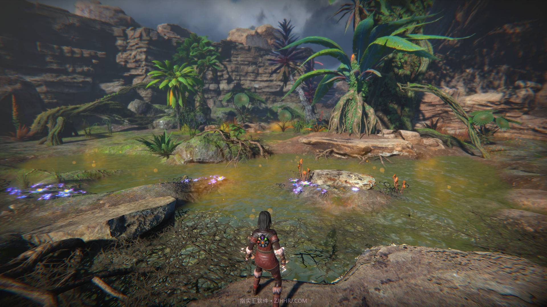 生命之种Seed of Life1.8截图