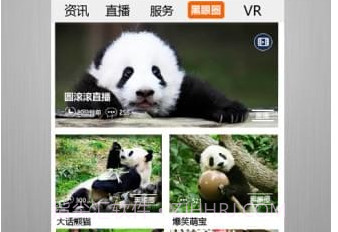 四川手机台v1.2.12截图