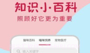 小猫翻译器v1.0.19截图