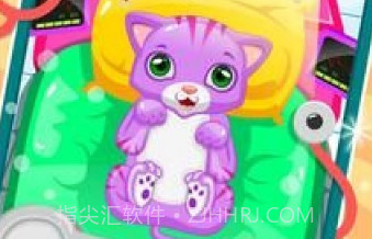 小猫医生宠物兽医v18.17截图