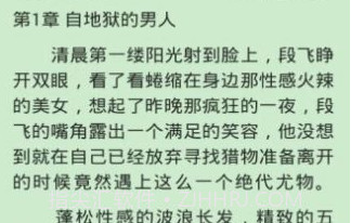 2020盗版飞卢最全的网站v1.11截图