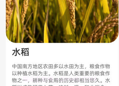 农田拾光v1.0.12截图