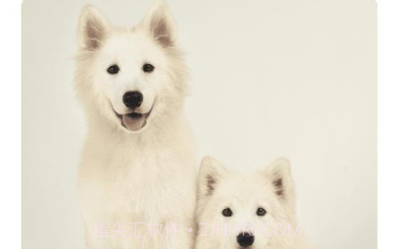 人狗翻译v5.8.16截图