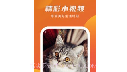 爱情岛视频v3.30.25截图