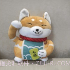 小龙透明屏幕v2.4.10截图