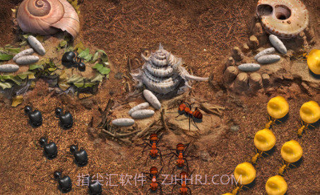 小小蚁国v1.0.13截图