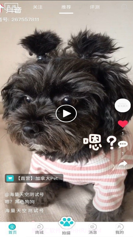 分分宠最新版1.12截图