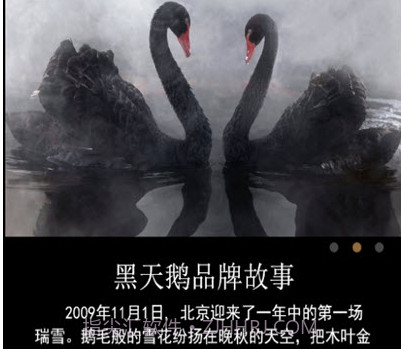 黑天鹅蛋糕v1.17截图