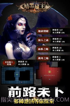 暗黑城主单机版1.3.17截图