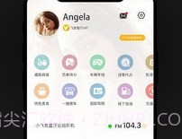 小飞鱼v3.0.40.13截图