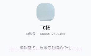 双子座IMv1.1.17截图