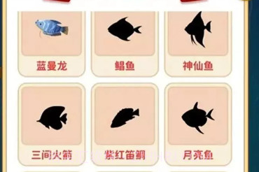 家园合成v1.0.15截图