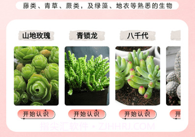 万物识图大师v1.14截图