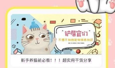 宠本本v1.0.10截图