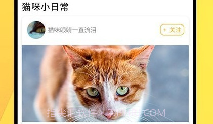 宠物记录v1.0.13截图