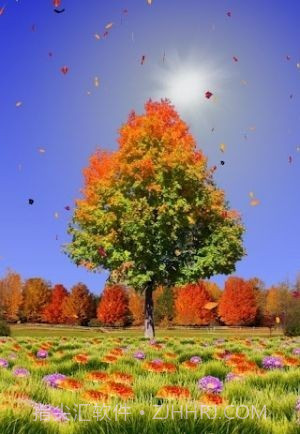 秋天动态壁纸v2.74截图