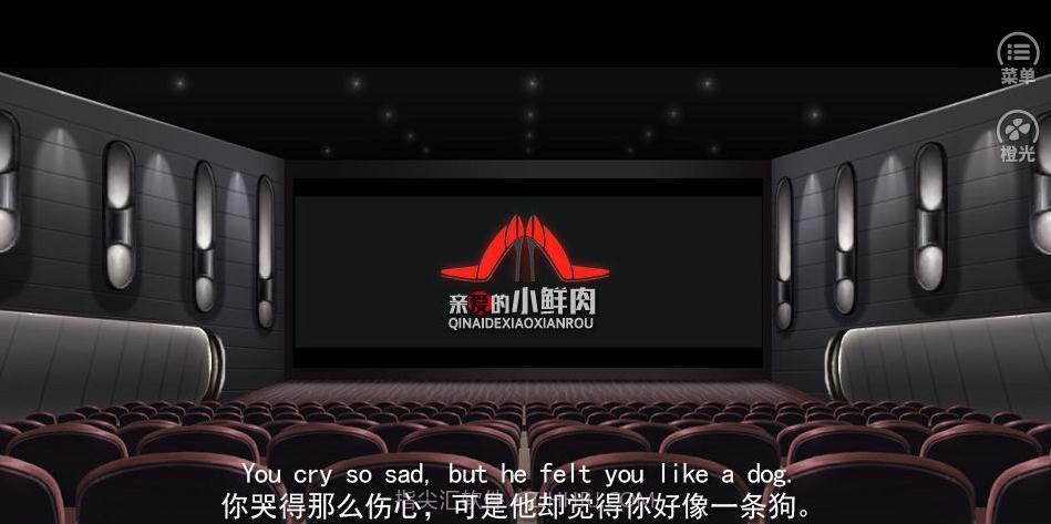 亲爱的小鲜肉v1.0.14截图