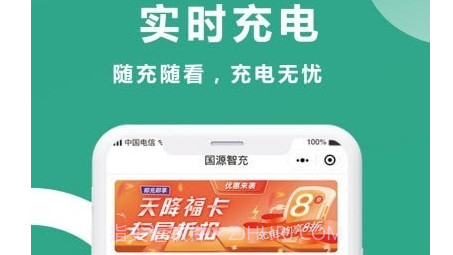 国源智充v1.0.19截图