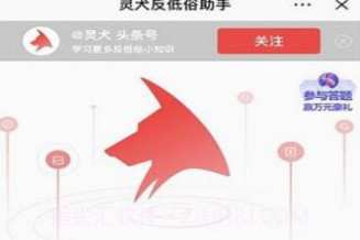 今日头条灵犬官方版V8.7.15截图