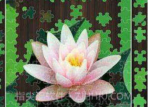 Jigty拼图游戏完整版v3.19截图