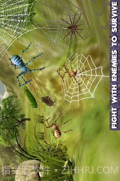 终极蜘蛛模拟器最新版1.6截图