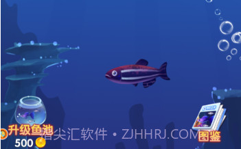 大鱼吞噬之路v3.4.17截图