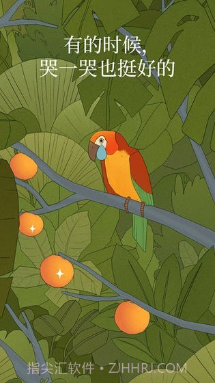 孤独的鸟儿v2.3.25截图