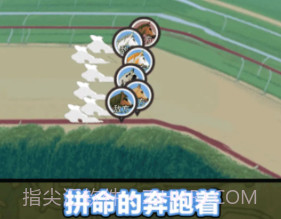 金牌驯马师v1.0.22截图