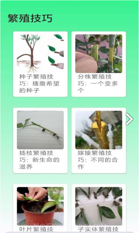 果园管家截图1 果园管家截图1