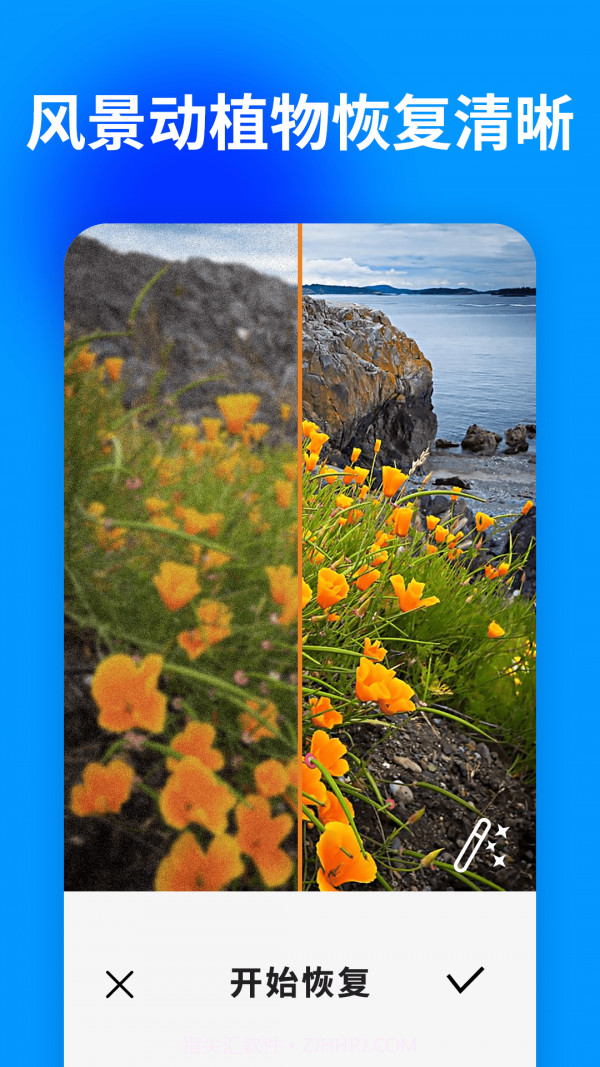 大白照片恢复助手截图4 大白照片恢复助手截图4