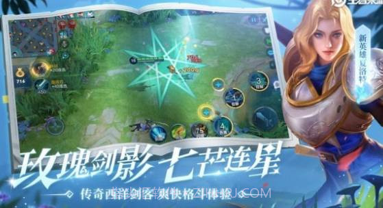 王者荣耀假国标修改器截图1