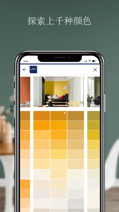 焕色大师多乐士截图1 焕色大师多乐士截图1