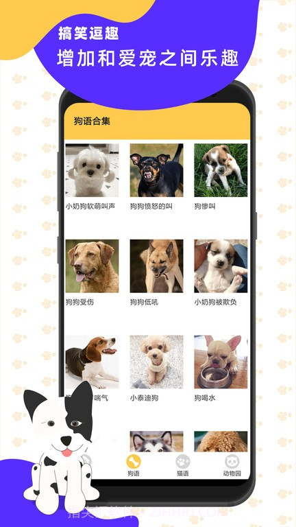 猫狗翻译神器截图3