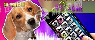 狗狗沟通交流器截图2